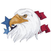eaglefromdenim.jpg